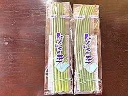 [写真]