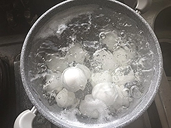 [写真]