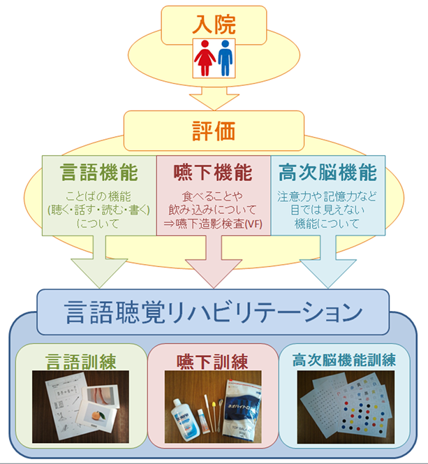 入院から言語聴覚リハビリテーションを受けるまでの流れ[図]