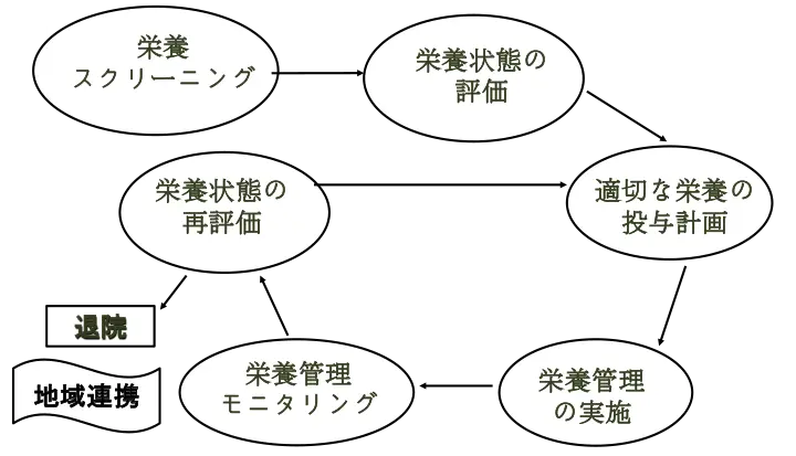 NSTが行う栄養管理の実際[図]