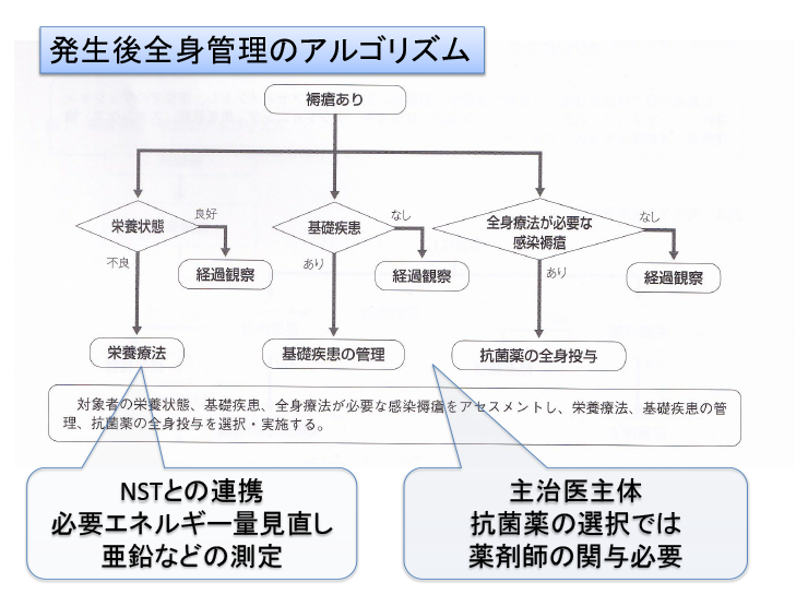 発生後全身管理のアルゴリズム[図]