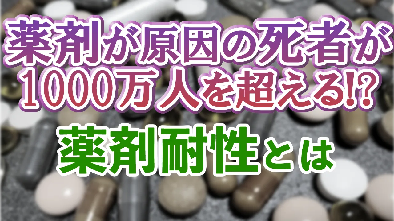 第26回