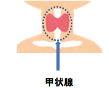 イメージ画像