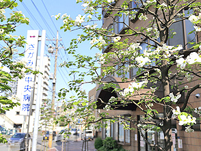 病院外観[写真]