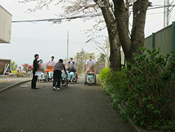 平成31年4月「お花見会」[写真]