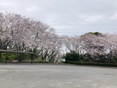 イベント風景[写真]