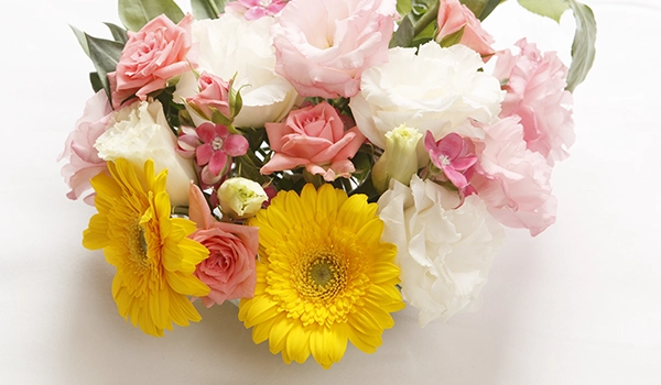 イメージ[写真]