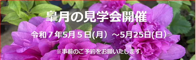 皐月の見学会開催