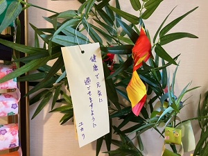 風景写真
