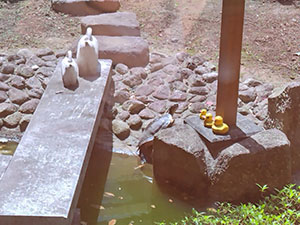 [写真]