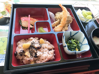 栄養コラム見出し写真