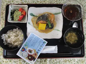 夏の和食御膳鮭夏野菜ごまポン酢がけ[写真]