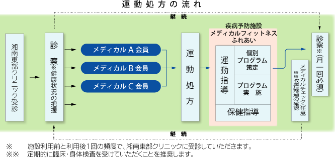 運動処方の流れ[図]